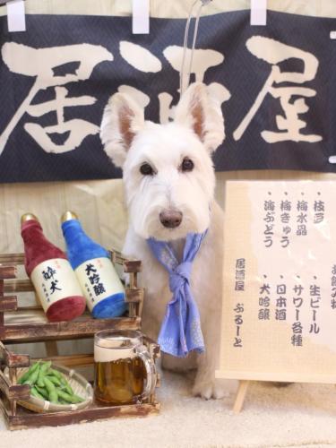 20240607ムーミンくん